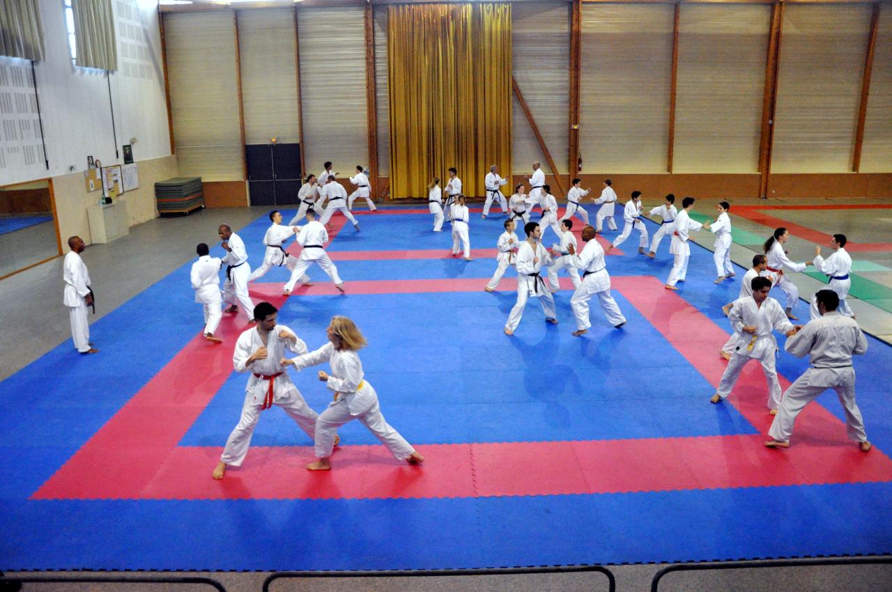 Code Moral Karate Stages et évènements 2013 - 2014