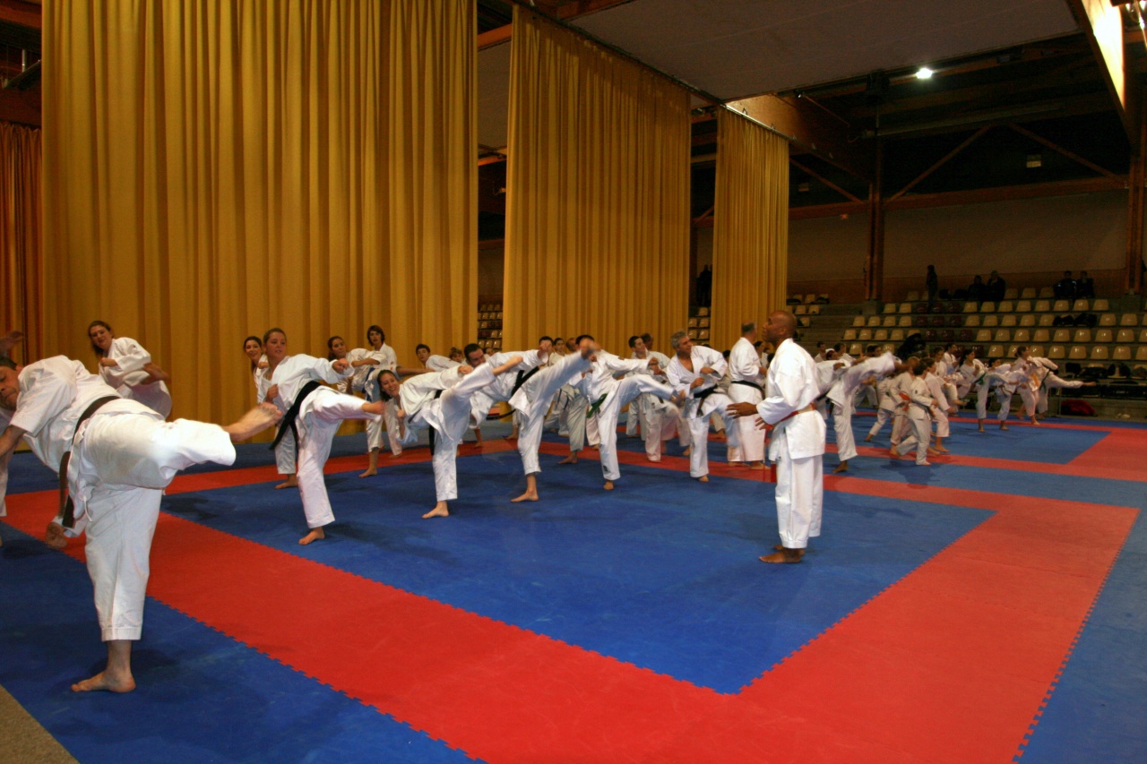 stage gofin 241nov 2011 004