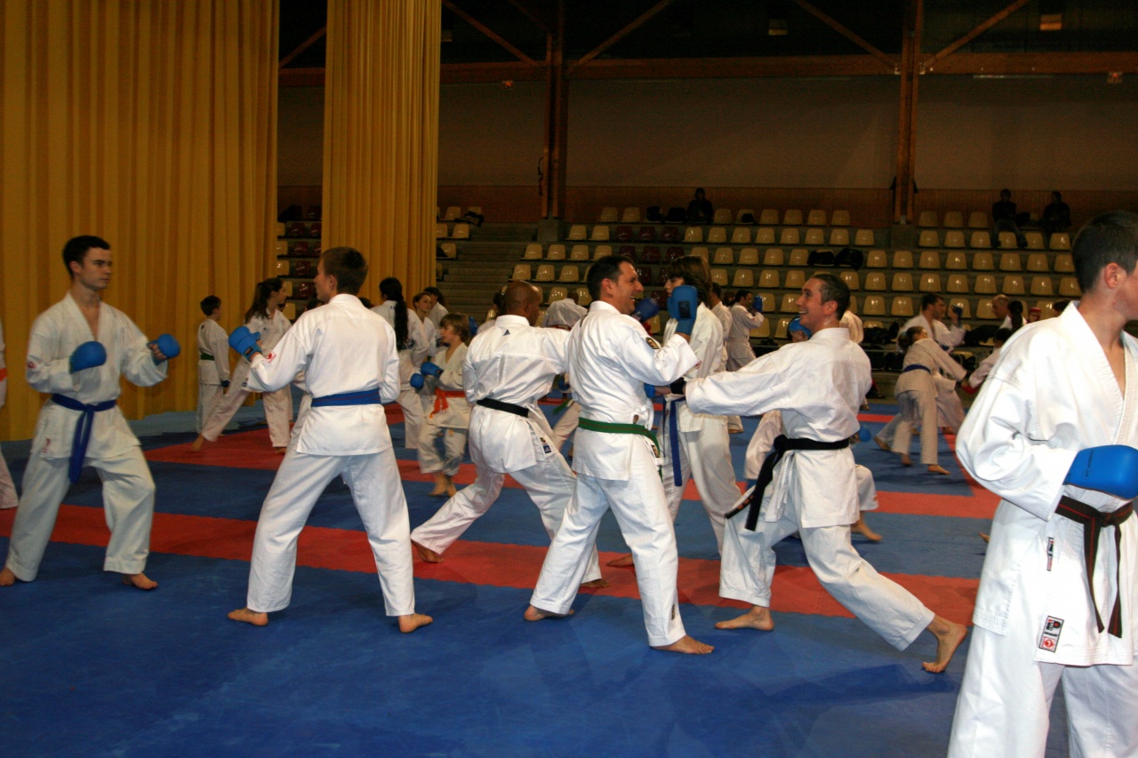 stage gofin 241nov 2011 008