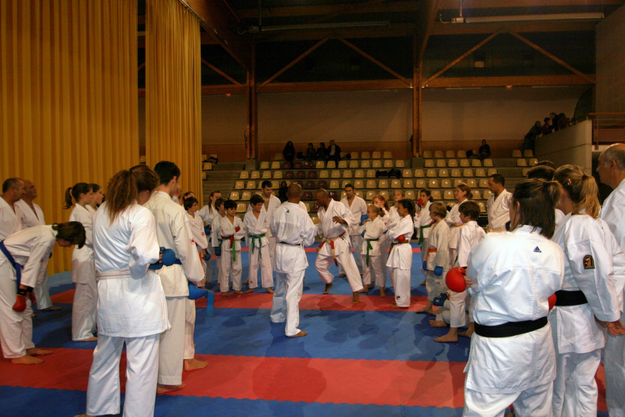 stage gofin 241nov 2011 009