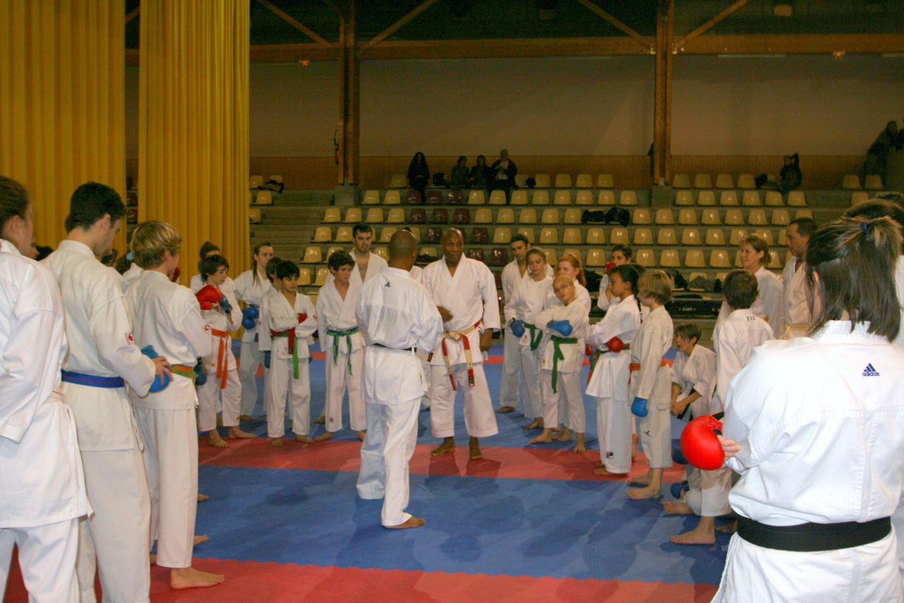 stage gofin 241nov 2011 010