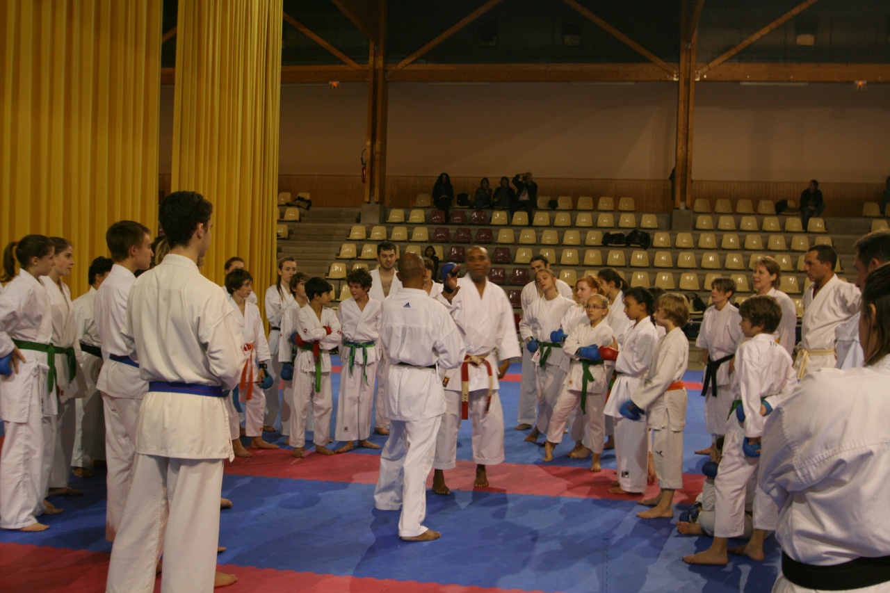 stage gofin 241nov 2011 012