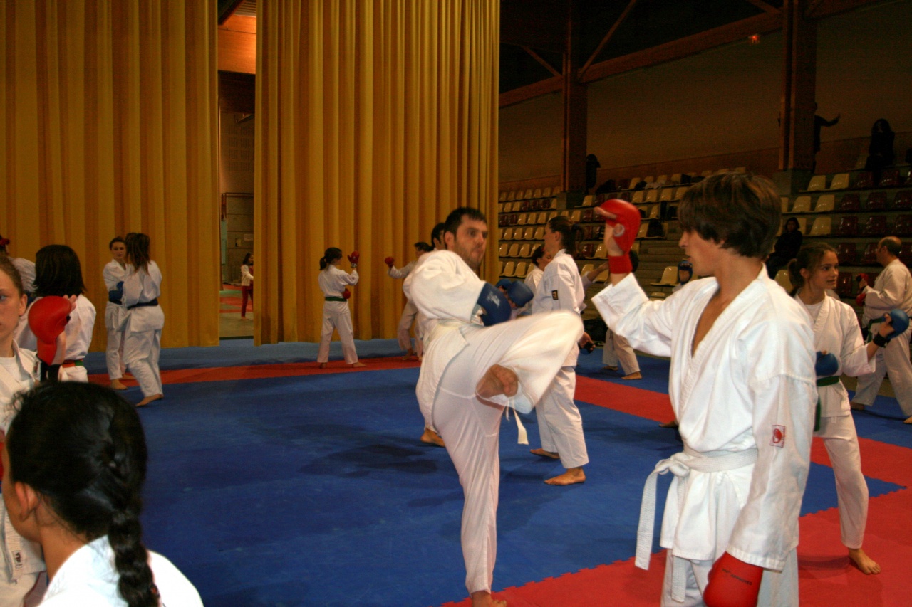 stage gofin 241nov 2011 016