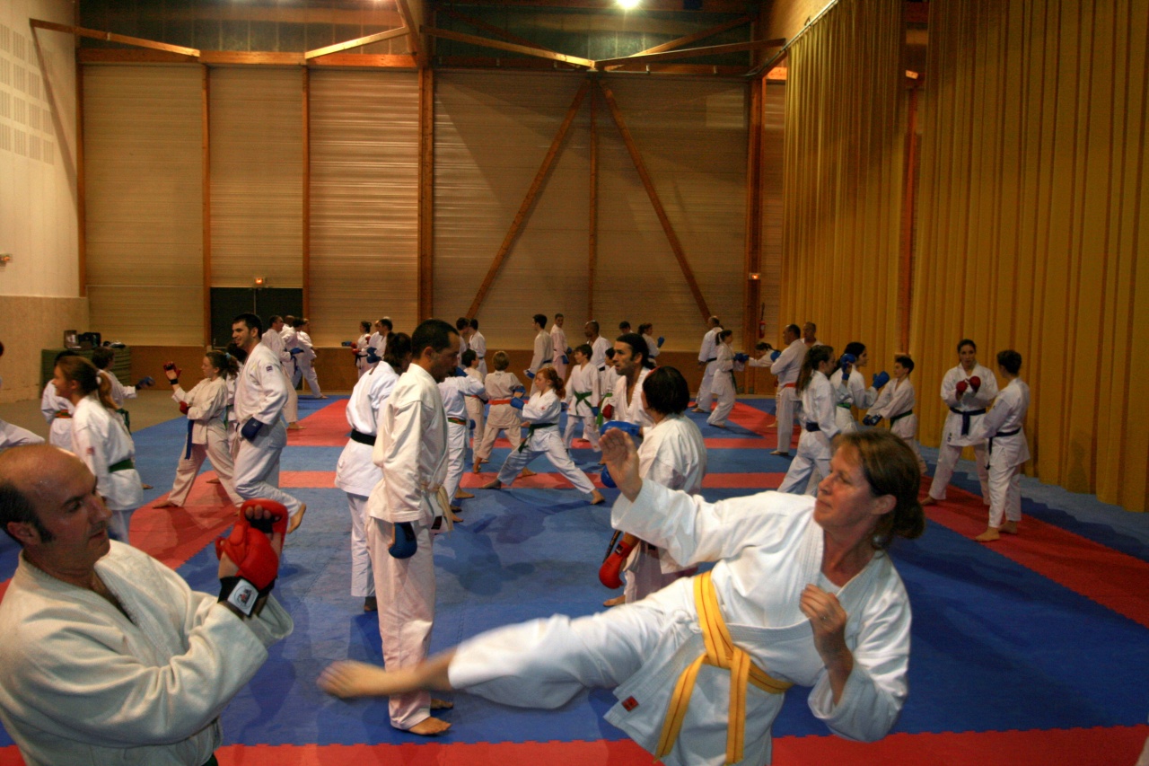 stage gofin 241nov 2011 017