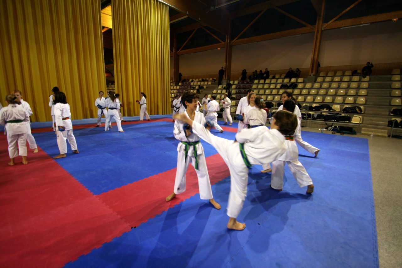 stage gofin 241nov 2011 031
